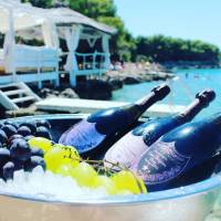 Sailing trip to Pakleni islands   Hen Croatia